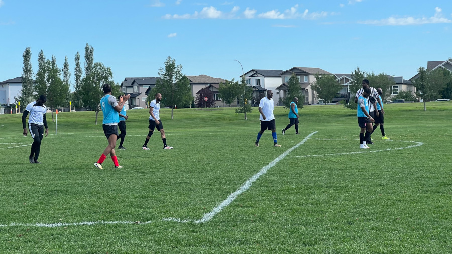 Joy Triumphs, Peace Rises, Light Shines